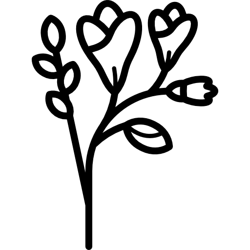 logo Fleurs et plantes séchées, ingrédients naturels qui entrent dans la composition de nos savons